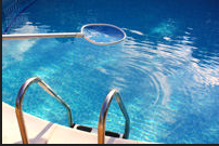 traitement algues piscines